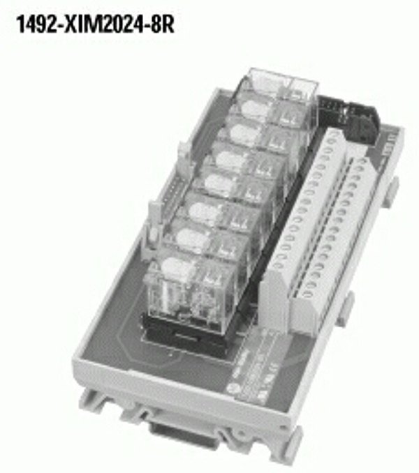 Article image 1492-XIM2024-8R