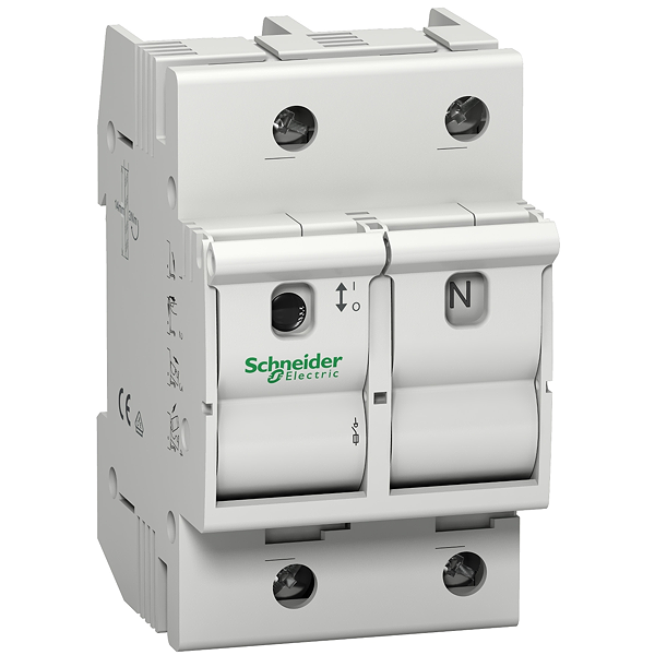 Article image MGN02663