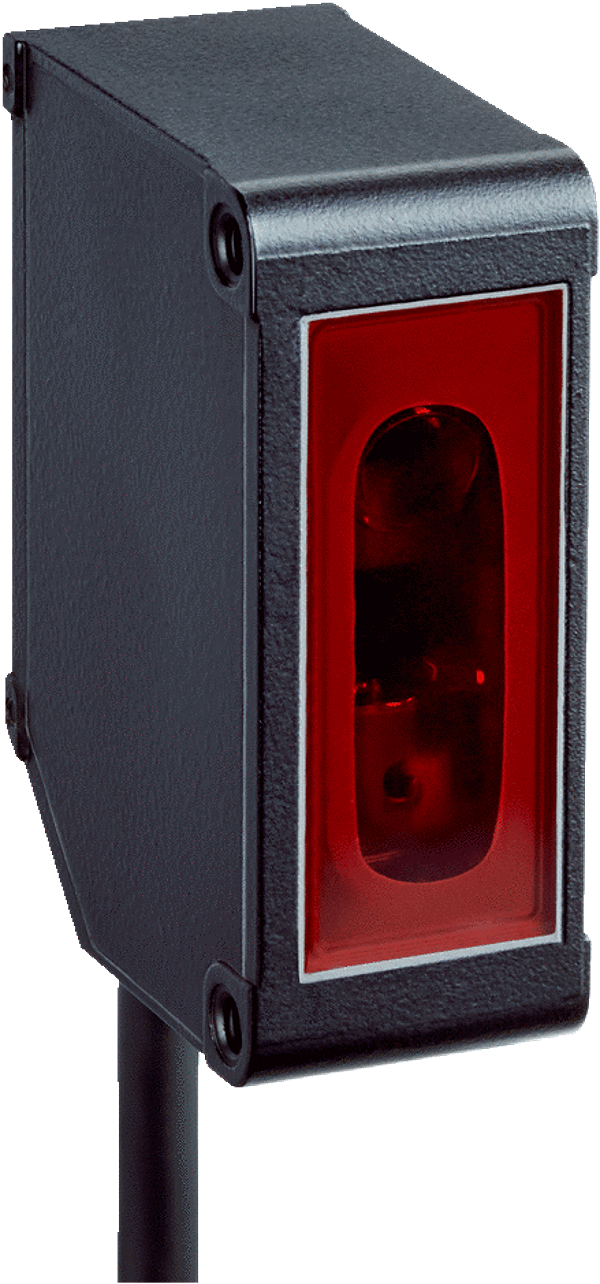 Article image 6050524