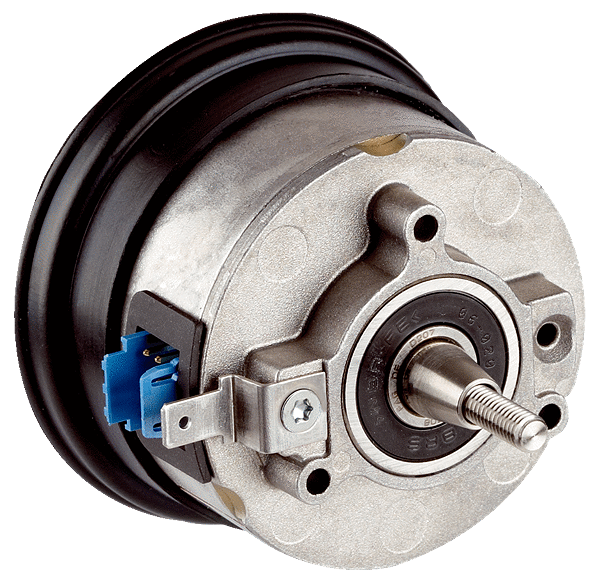 Article image 1037088