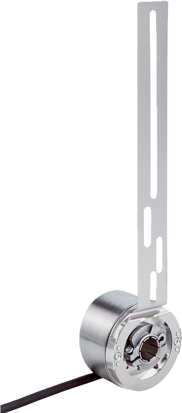 Article image 1079421