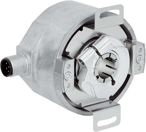 Article image 1081149