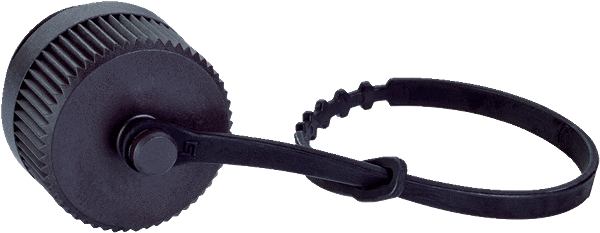 Article image 5333972