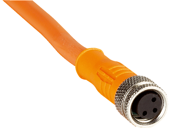 Article image 6022009