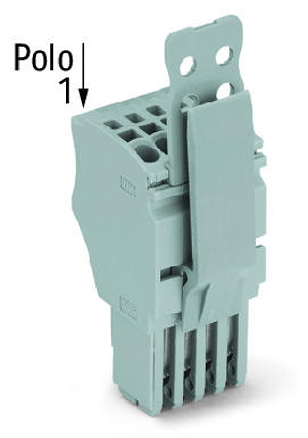 Article image 2020-105/143-000