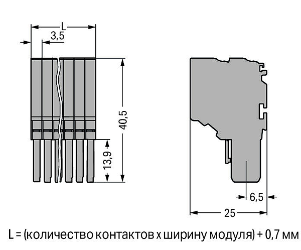 Article image 2020-203