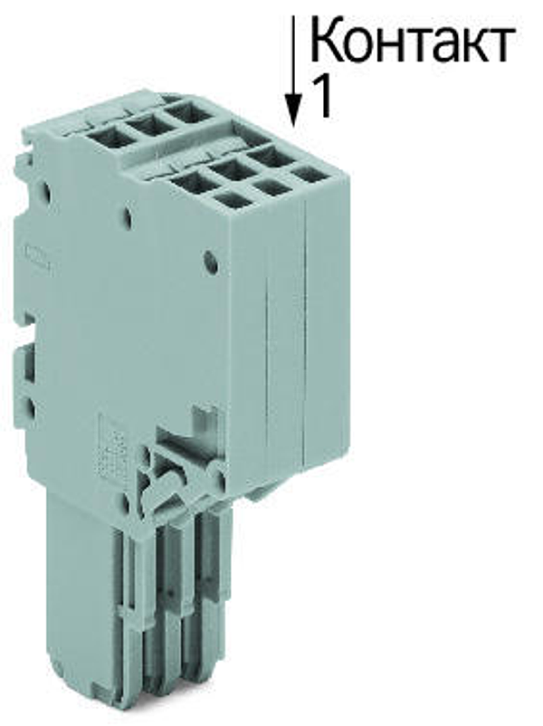 Article image 2020-206/124-000