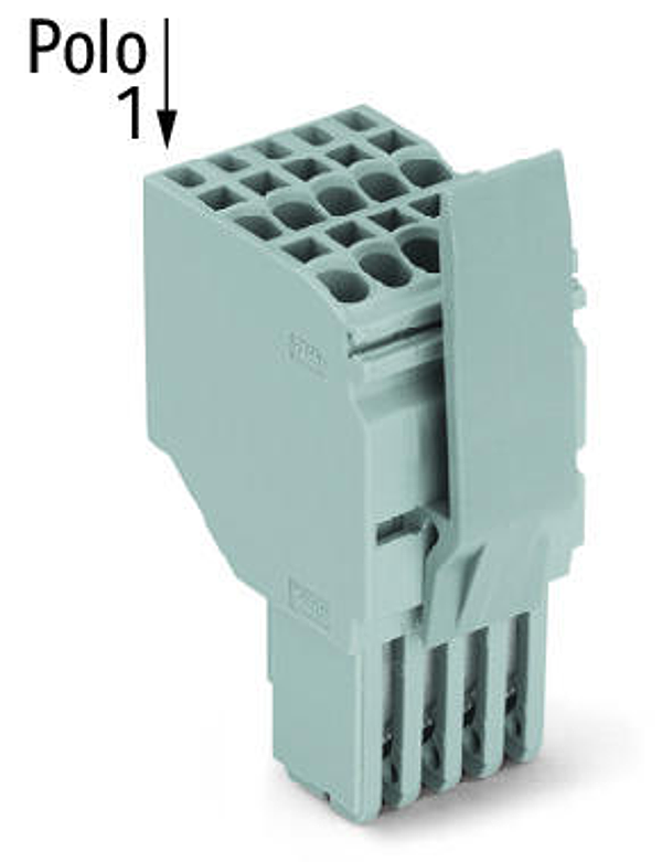 Article image 2020-205/124-000