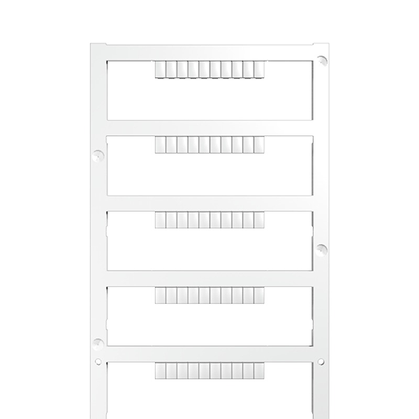 Article image 1755270000
