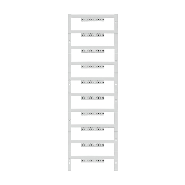 Article image 1762320051