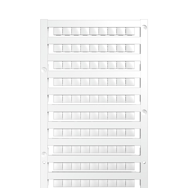 Article image 1609840000