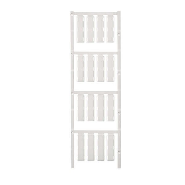 Article image 1248740000
