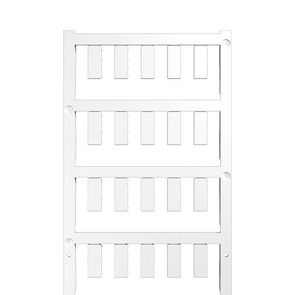 Article image 1881280000