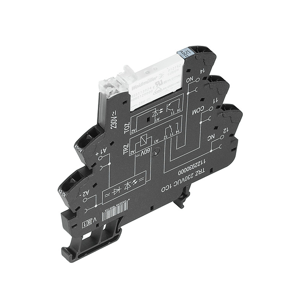 Article image 1123170000