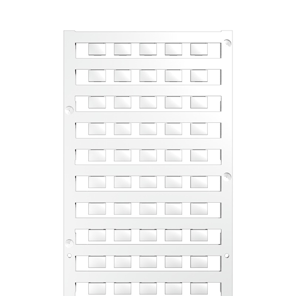 Article image 1341630000