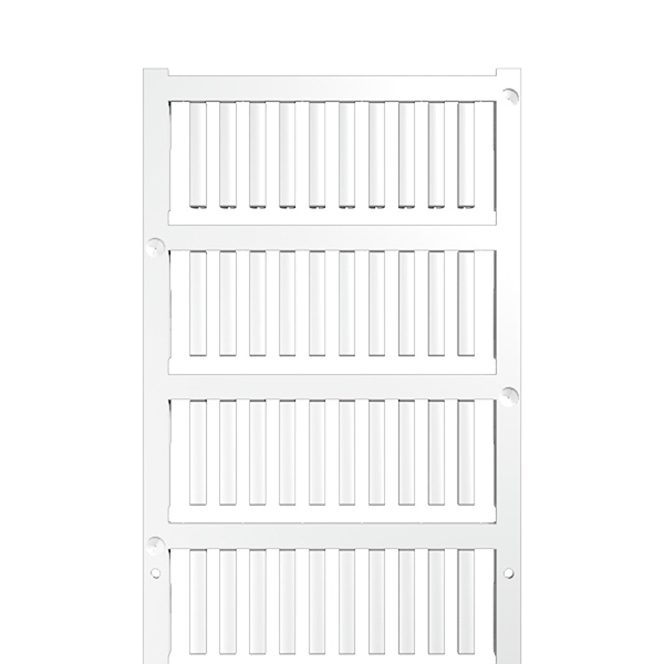 Article image 1730590001