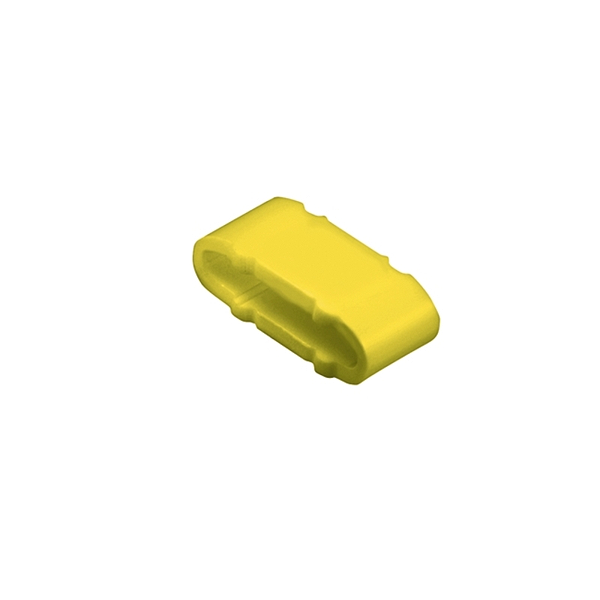 Article image 1733651505