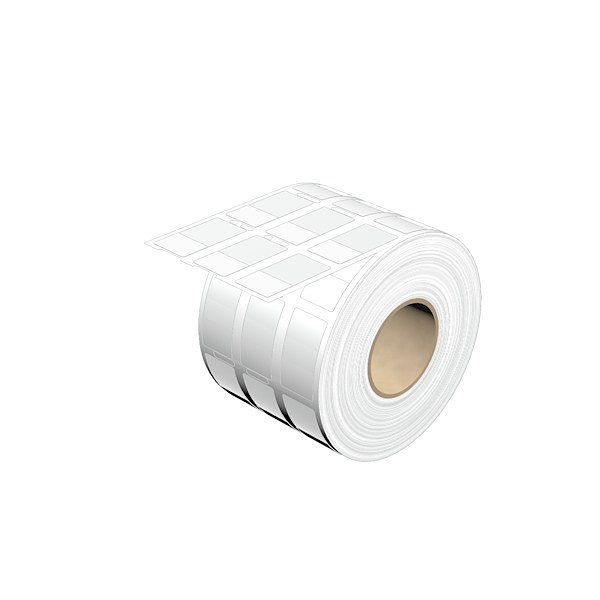 Article image 1382930000