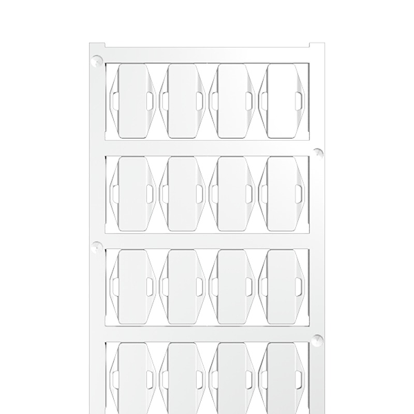 Article image 1852490000