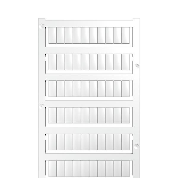 Article image 1609900000