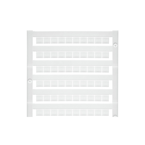 Article image 1609830000