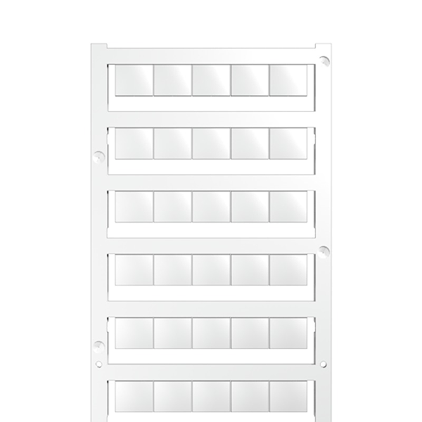 Article image 1905970000