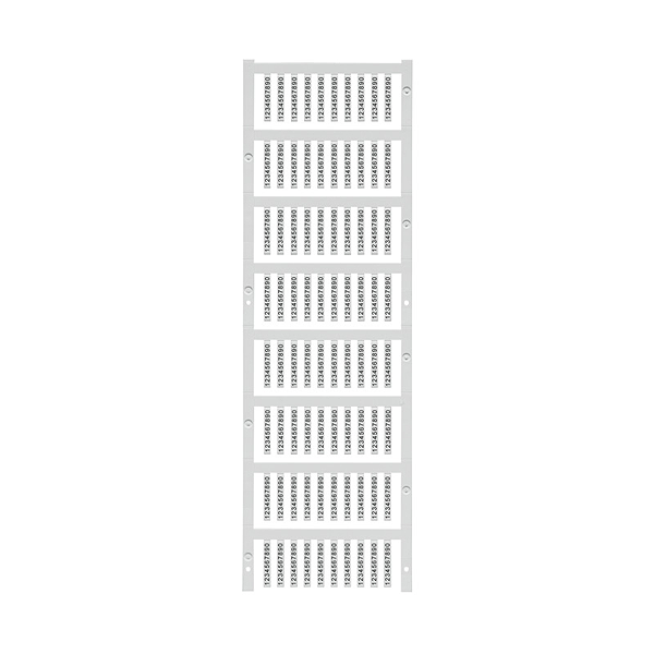 Article image 1906370000