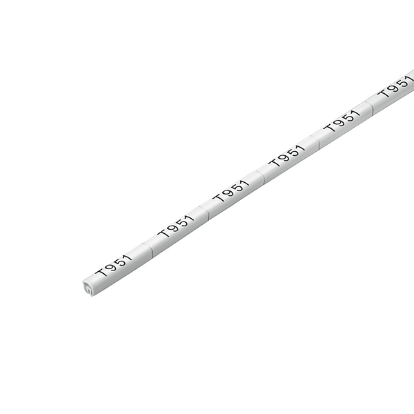 Article image 1568269999