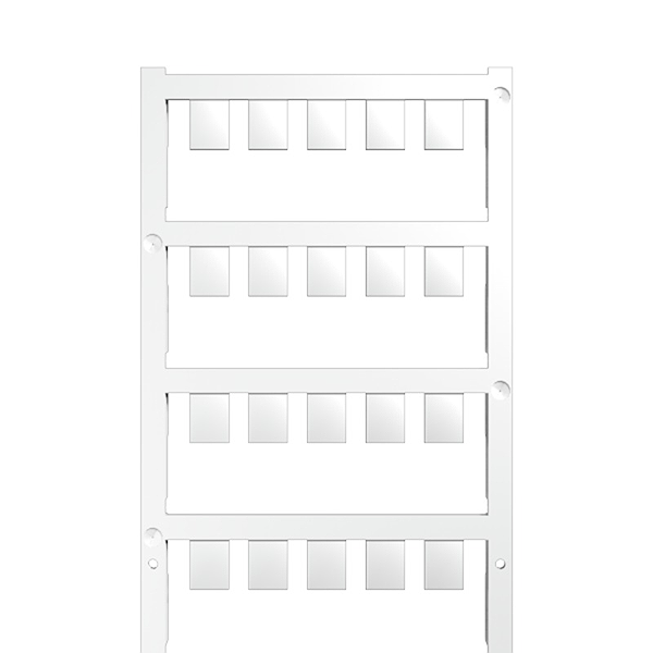 Article image 1736190000