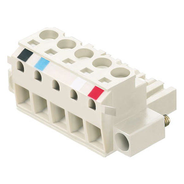 Article image 1933550000