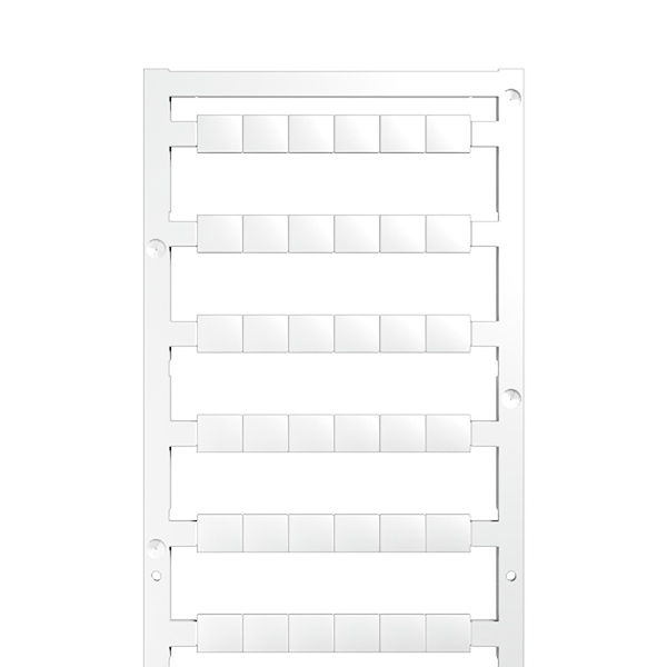 Article image 1208970000