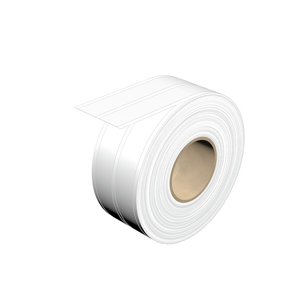 Article image 1307670000