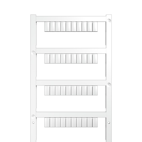 Article image 1716840000