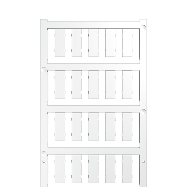 Article image 1736181044