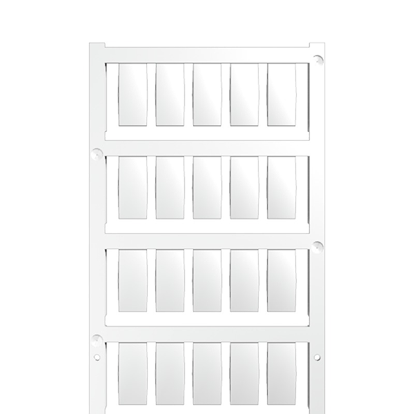 Article image 1770500000