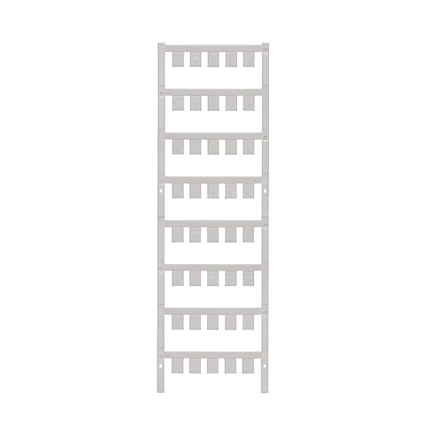 Article image 1770470000