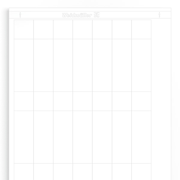 Article image 1768400000