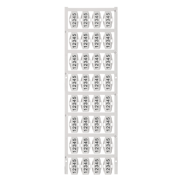 Article image 1852380000