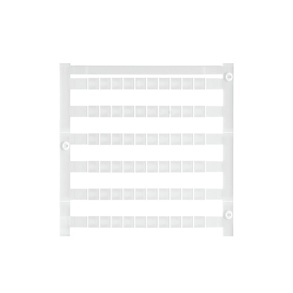 Article image 1854500000