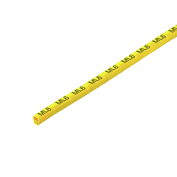 Article image 1873370000