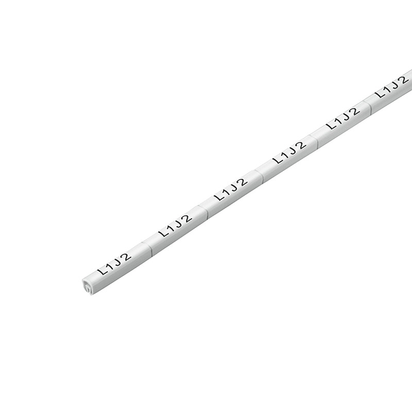 Article image 1873380000