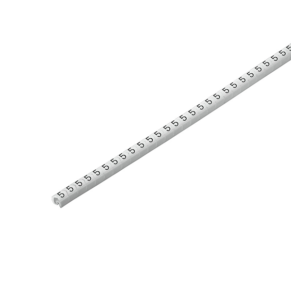 Article image 1912600000