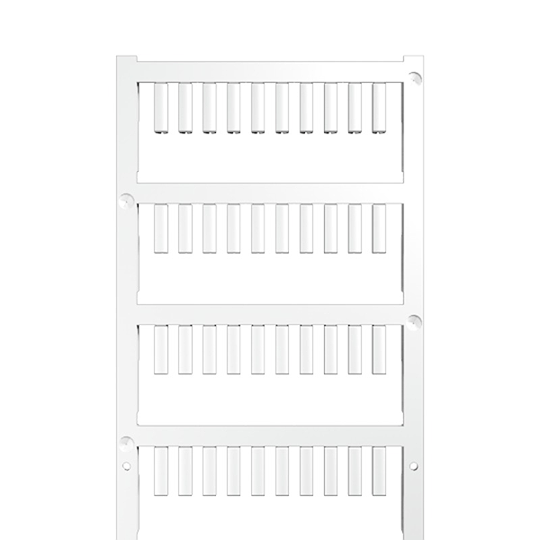Article image 1919240000
