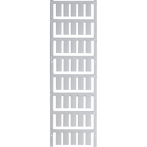 Article image 1609950000