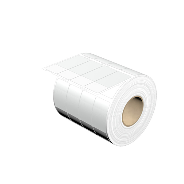 Article image 1003420000