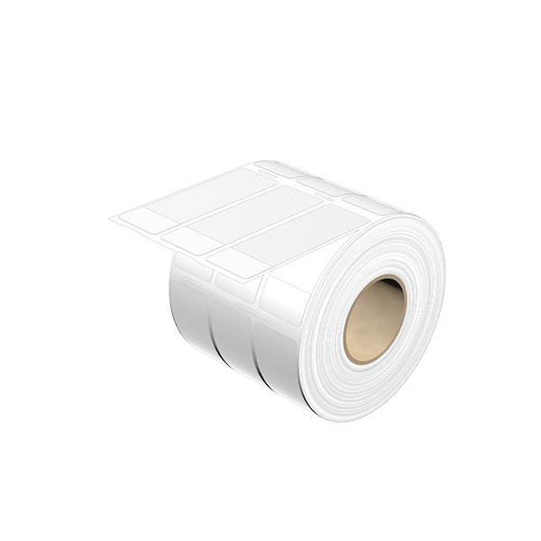 Article image 1774350000