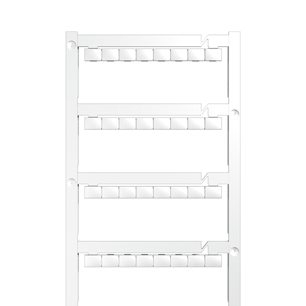 Article image 1720620000