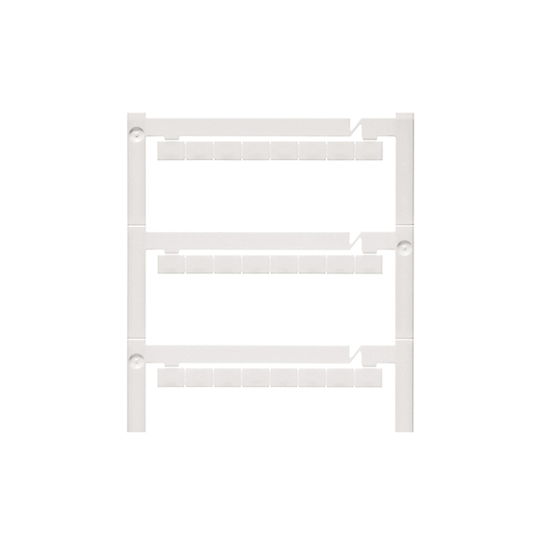 Article image 1770490000