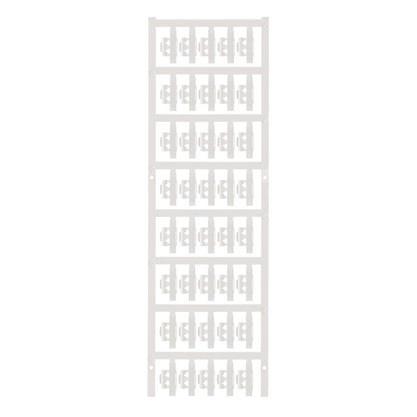 Article image 1779090000