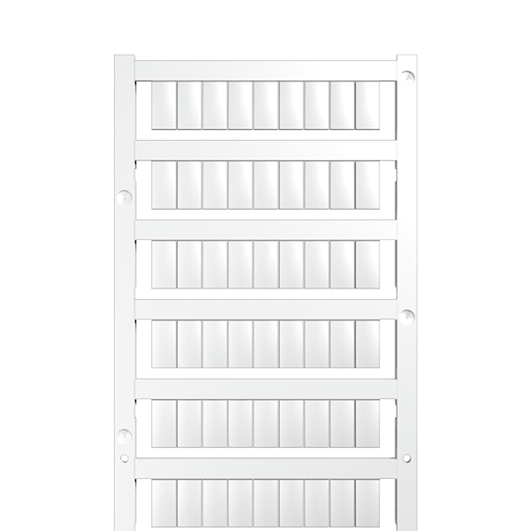 Article image 1609920000
